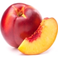Grapefruit