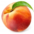 Grapefruit