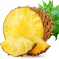 Grapefruit