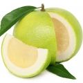Grapefruit