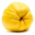 Grapefruit