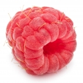 Grapefruit