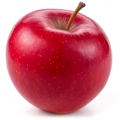 Grapefruit