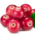 Grapefruit