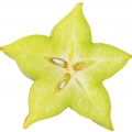 Grapefruit