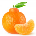 Grapefruit