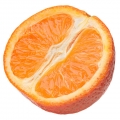 Grapefruit