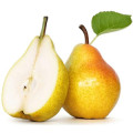 Grapefruit