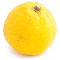 Grapefruit